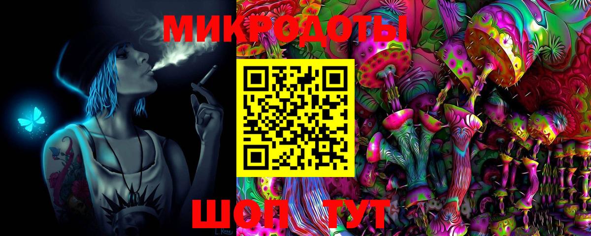 Псилоцибиновые грибы Psilocybine cubensis Киров