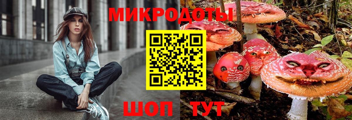 Галлюциногенные грибы Psilocybe  Вход с VPN  Псилоцибиновые грибы ЛСД  Киров 